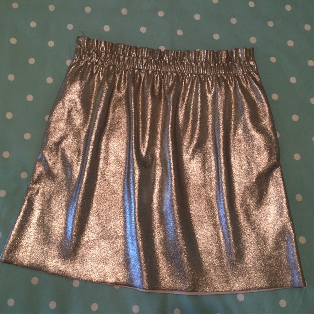 Zara Knit Silver Metallic Skirt with Pockets